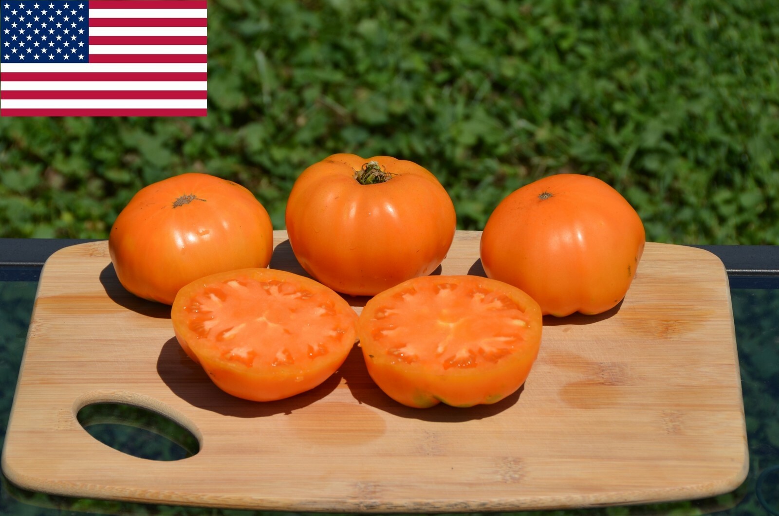 40+ Dr Wyche’s Organic Tomato Seeds by Ohio Heirloom Seeds