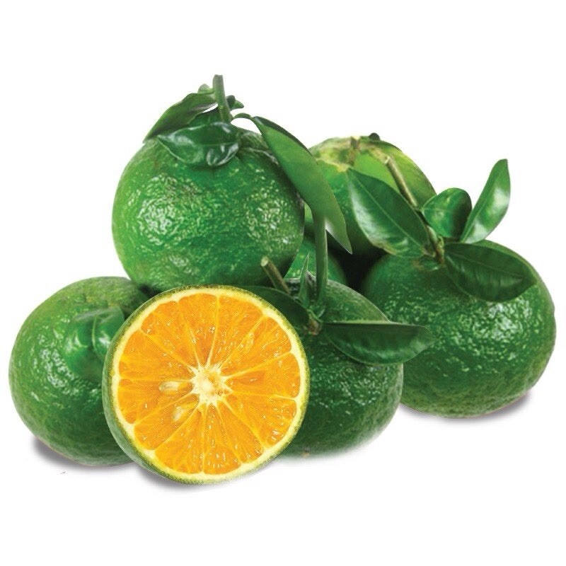 Green skin, sweet & fragrant Orange Fruit – 10 Seeds – USA