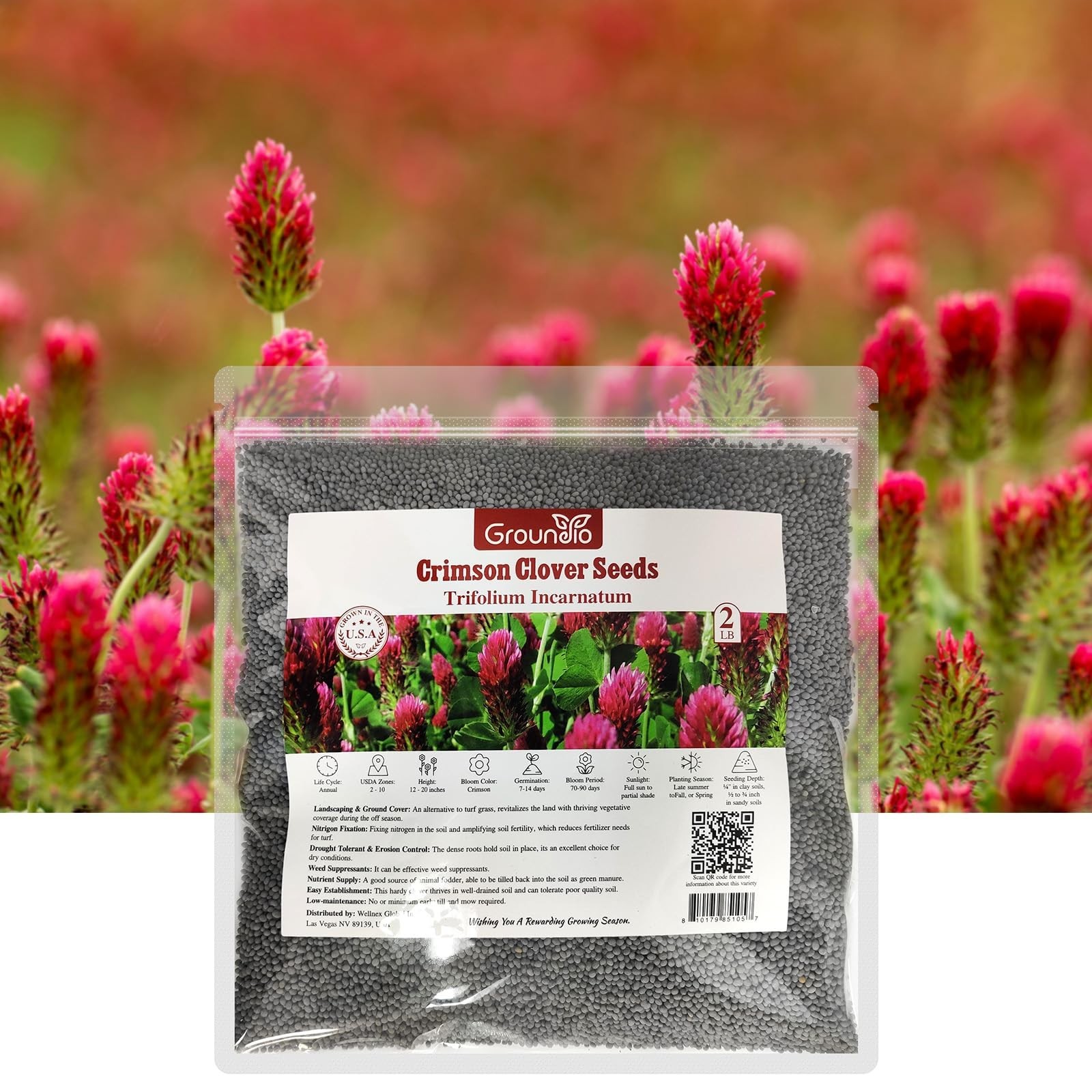Crimson Clover Seeds 2 lbs – Nitrocoated, Inoculated, Attracts Pollinators, Lawn