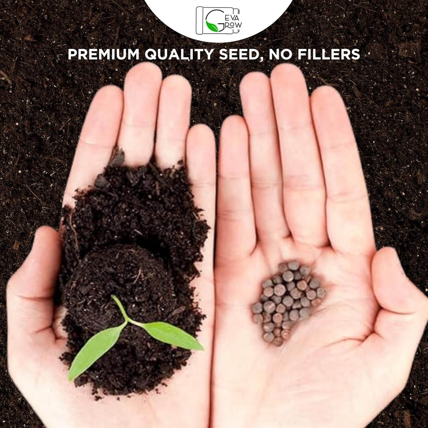 Transform Your Backyard – 1 Pound Bird & Butterfly Mix – Bulk Wildflower Seeds