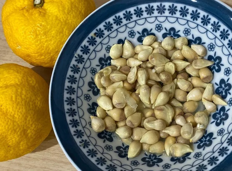10 Japanese Yuzu Seeds (Citrus junos)– Fresh Seeds for Planting – Rare Fruit