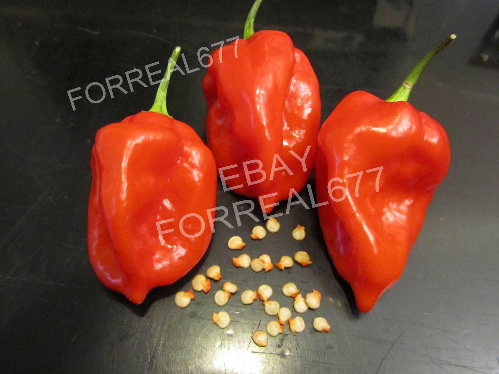 30+ RED SAVINA HABANERO CHILE PEPPER SEEDS Growing Instructions Included 2022