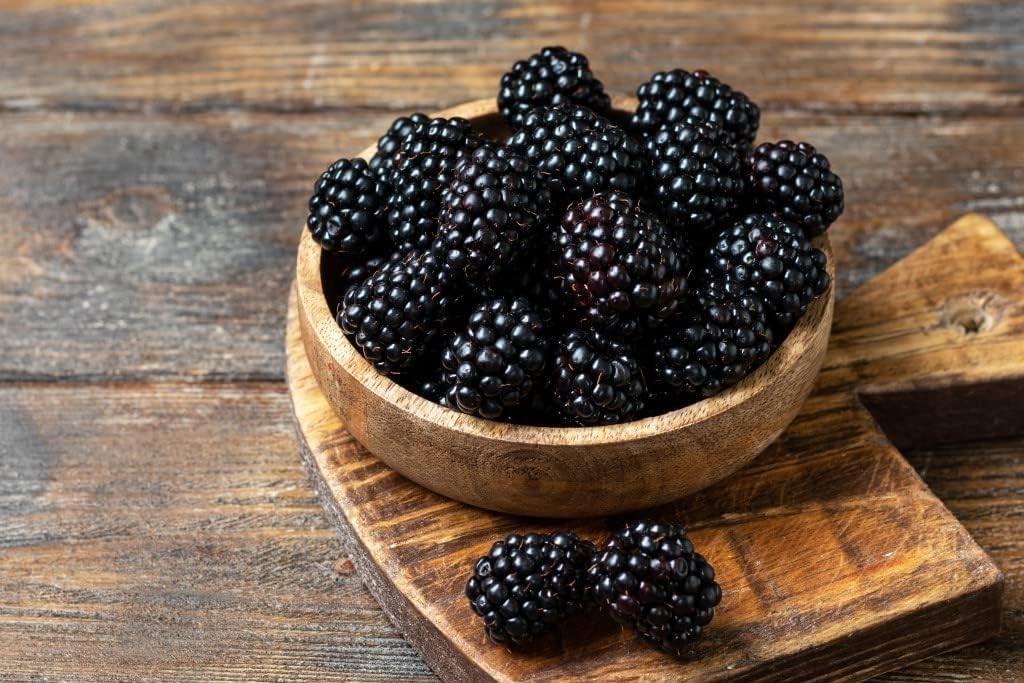 200+ BlackBerry Seeds for Planting – Non-GMO, Organic & Thornless | Heirloom Var