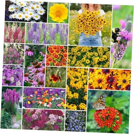 Wildflower Mixed Seeds for Planting, 1/4 lb, 120,000+ 1/4 Pound All Perennial