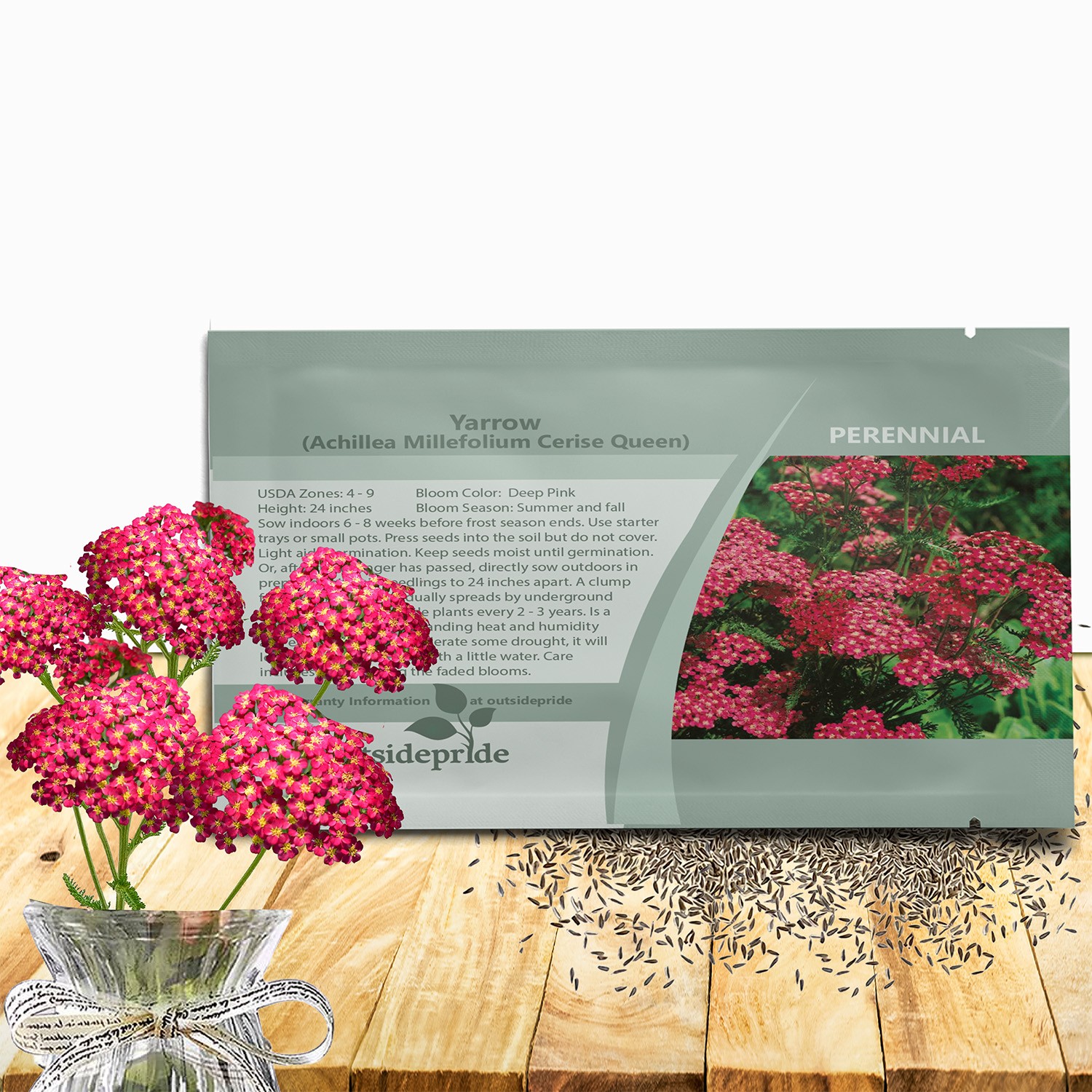 5000 Seeds Achillea Cerise Queen Drought Resistant Yarrow Garden Flower Plant