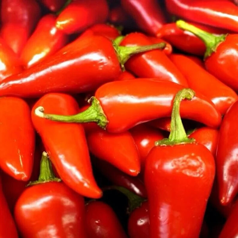 50+ Fresno Chili Hot Pepper Seeds Vegetable Garden NON-GMO Free Shipping #80