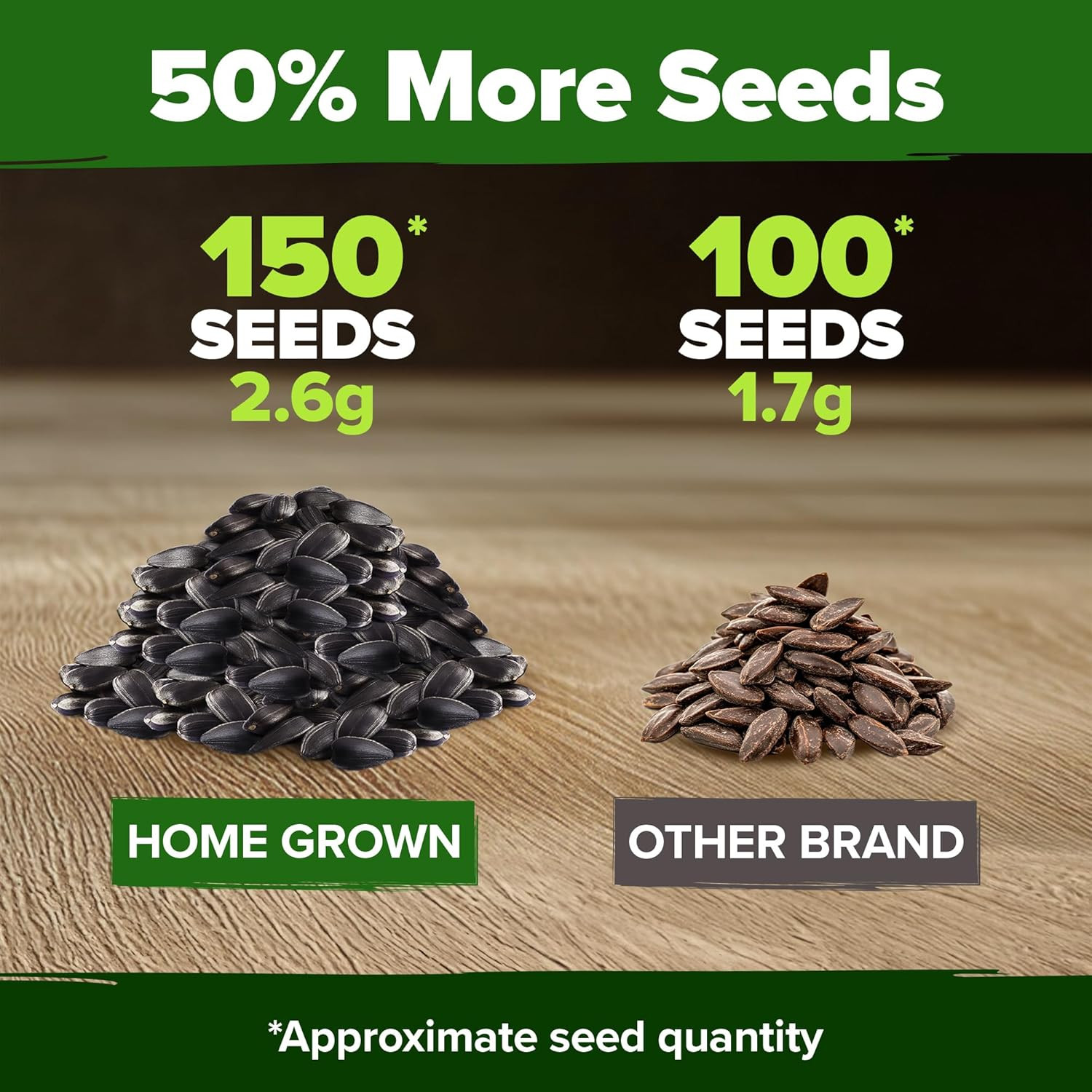 Chocolate Cherry Sunflower Seeds – 150 Heirloom Non-Gmo Seeds – Burgundy Sunflow