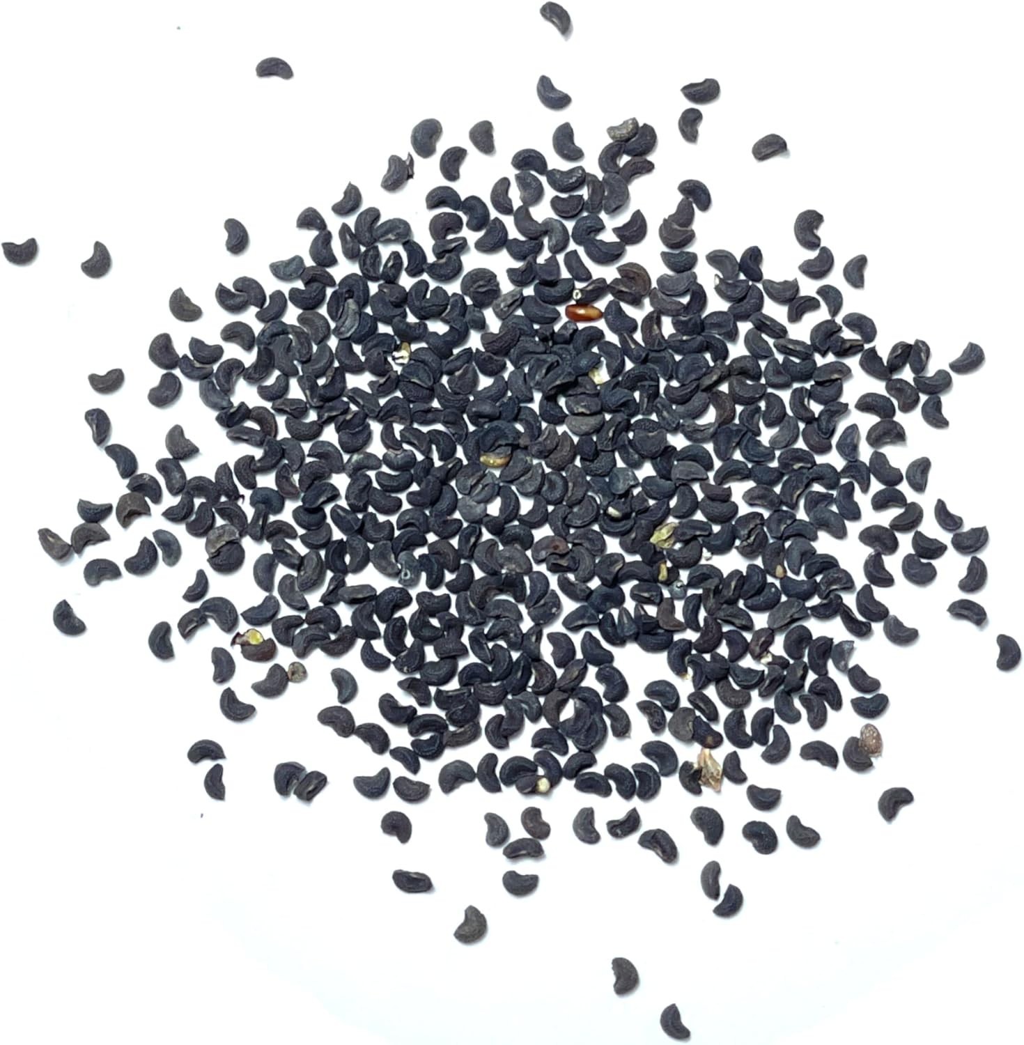 250 Non-GMO Rue Herb Seeds for Indoor/Outdoor Medicinal Gardening – 2 Packs