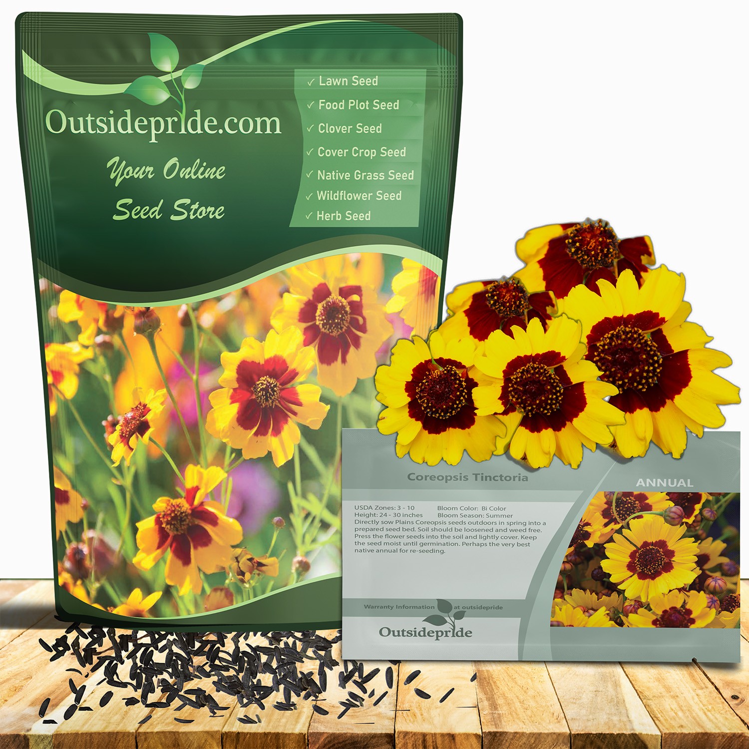 5000 Seeds Plains Coreopsis Drought Tolerant Xeriscape Wild Flower Seeds