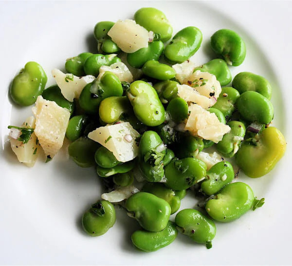 Aquadulce Fava Bean Seeds | Broad Windsor Faba Beans Lima Vegetable Seed 2024