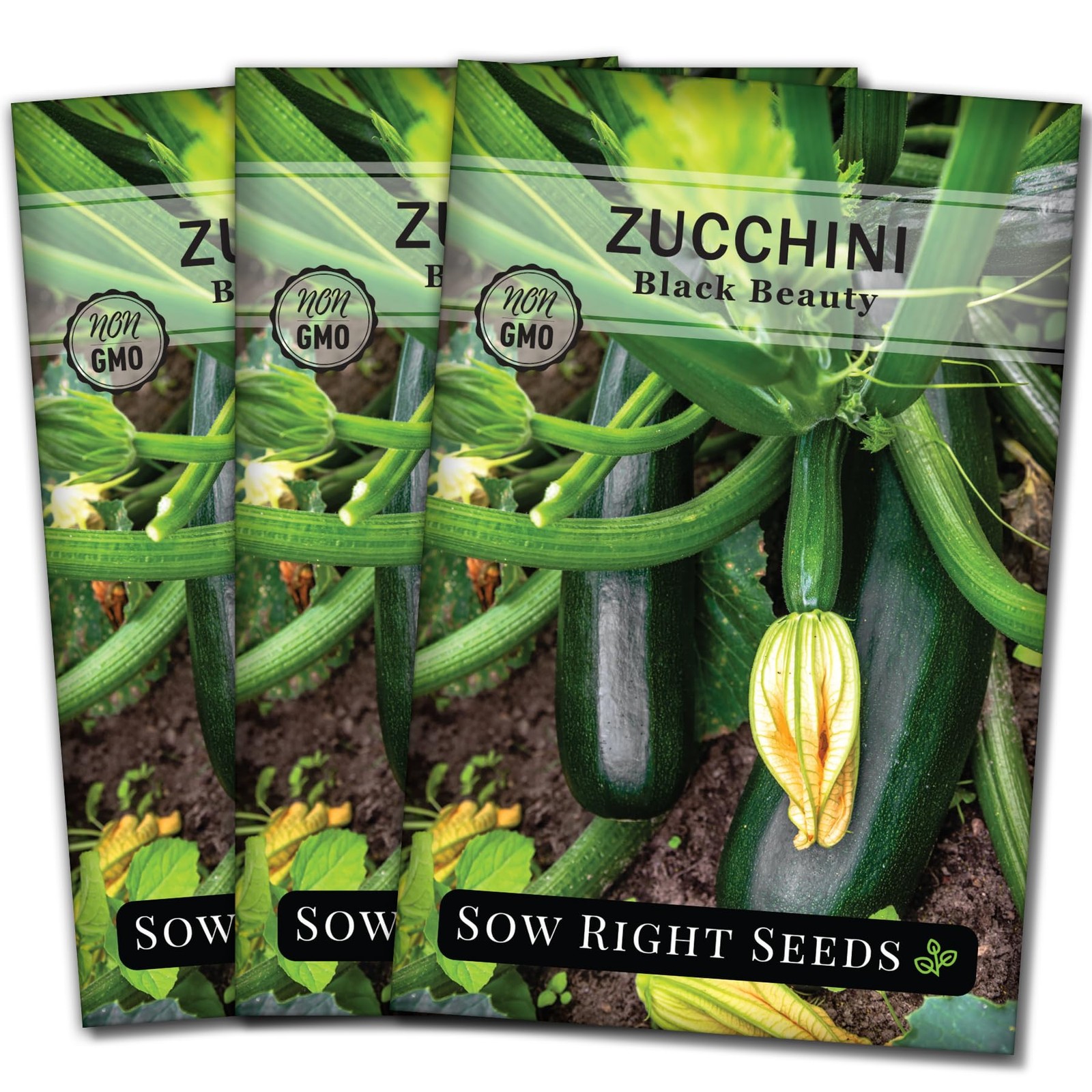 Black Beauty Zucchini Seeds – Non-GMO Heirloom for Home Vegetable Garden