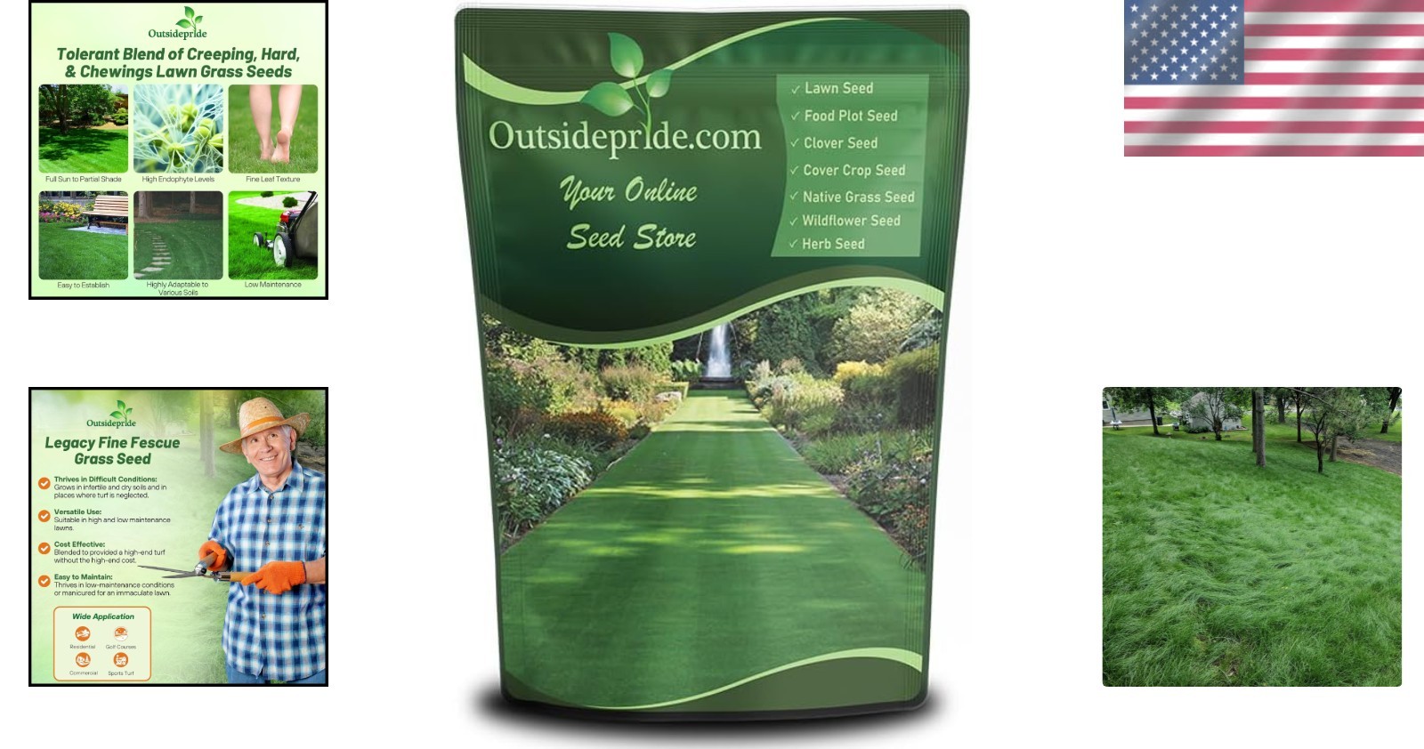 10 Lbs. Fine Fescue Grass Seed with OptiGrowth Coating for Vibrant Lawns