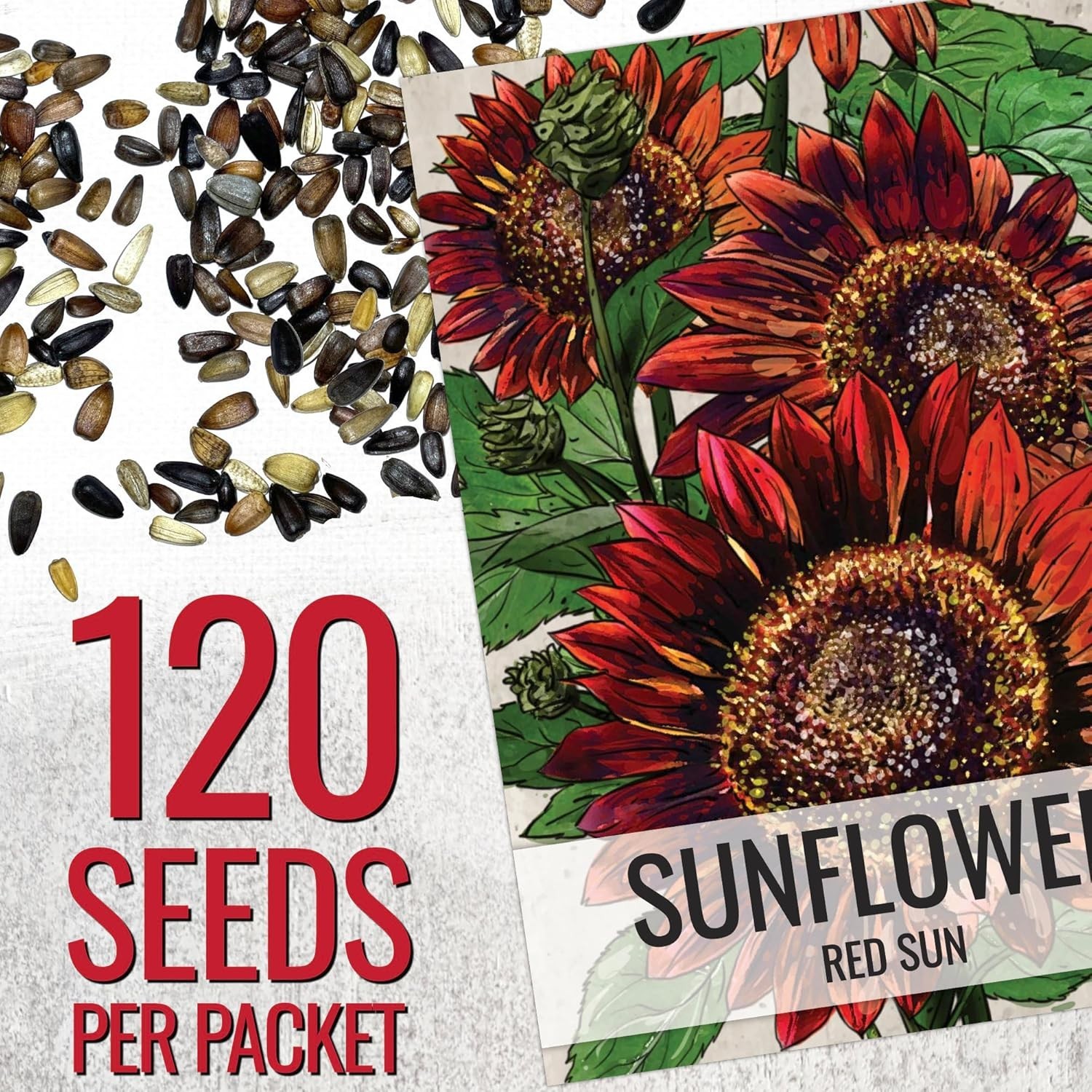 Grow Red Sunflowers with These Heirloom Open Pollinated Seeds