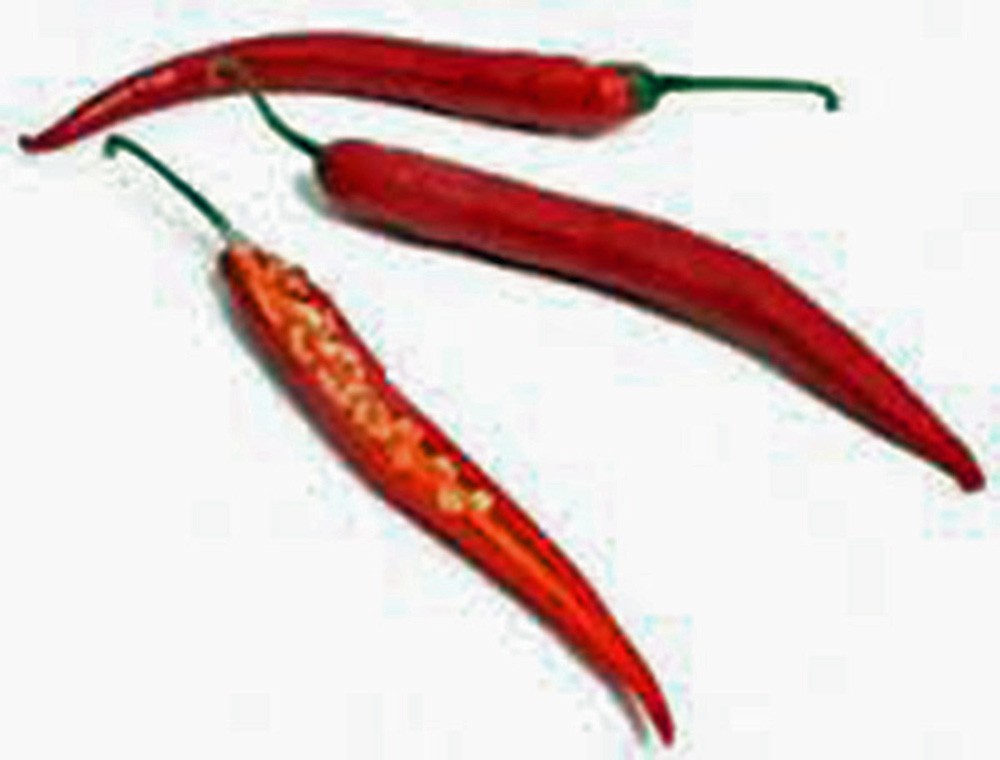 CAYENNE PEPPER PEPPER, LONG RED THIN, HEIRLOOM, NON GMO, 20+ SEEDS