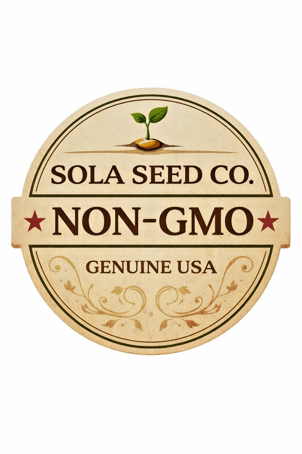 10 RARE Organic Doran Winter Squash Seeds. Heirloom. Sweet & Delicious Non-GMO