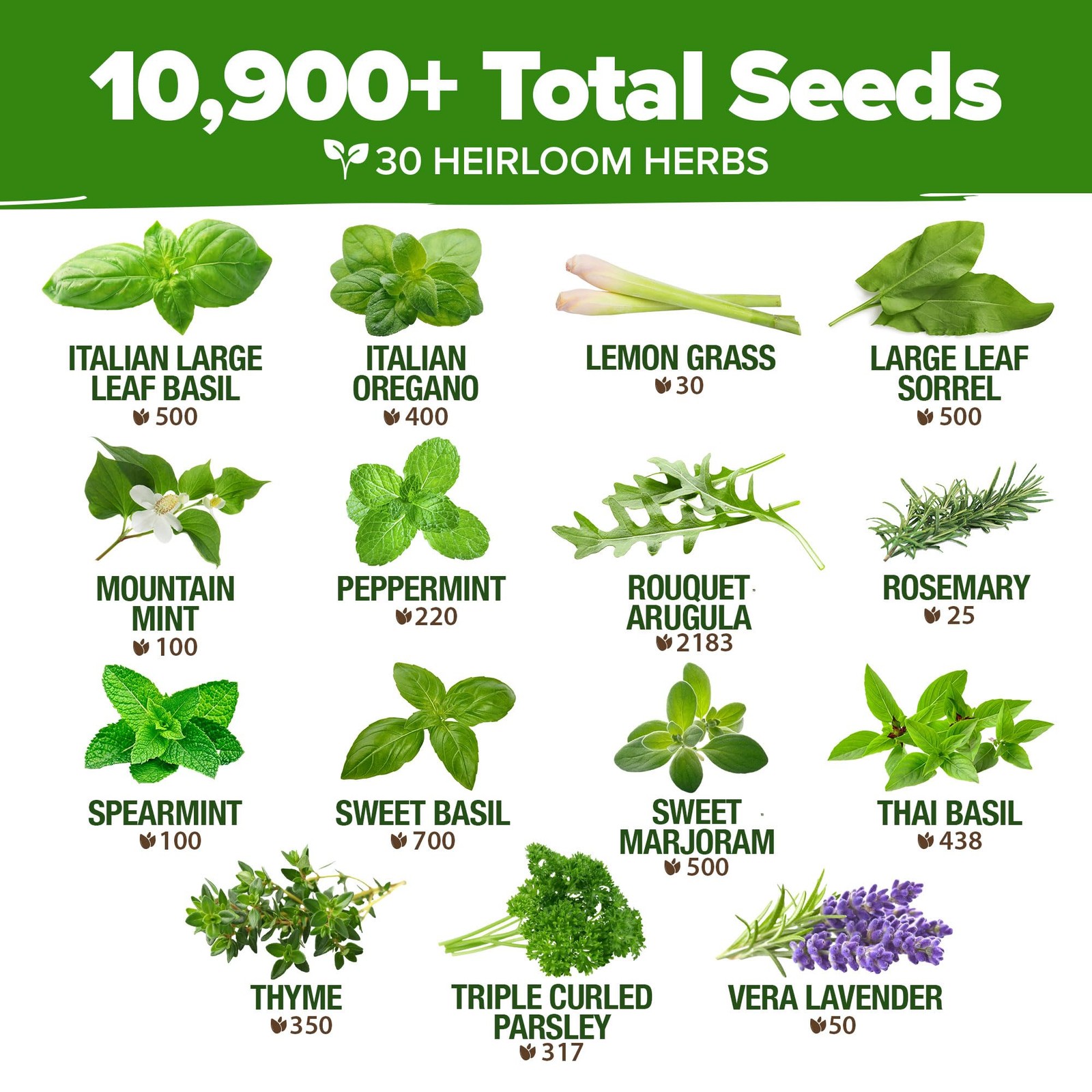 30 Herb Seeds Culinary Variety Pack 10900+ Heirloom Non GMO Indoor Outdoor Hydro