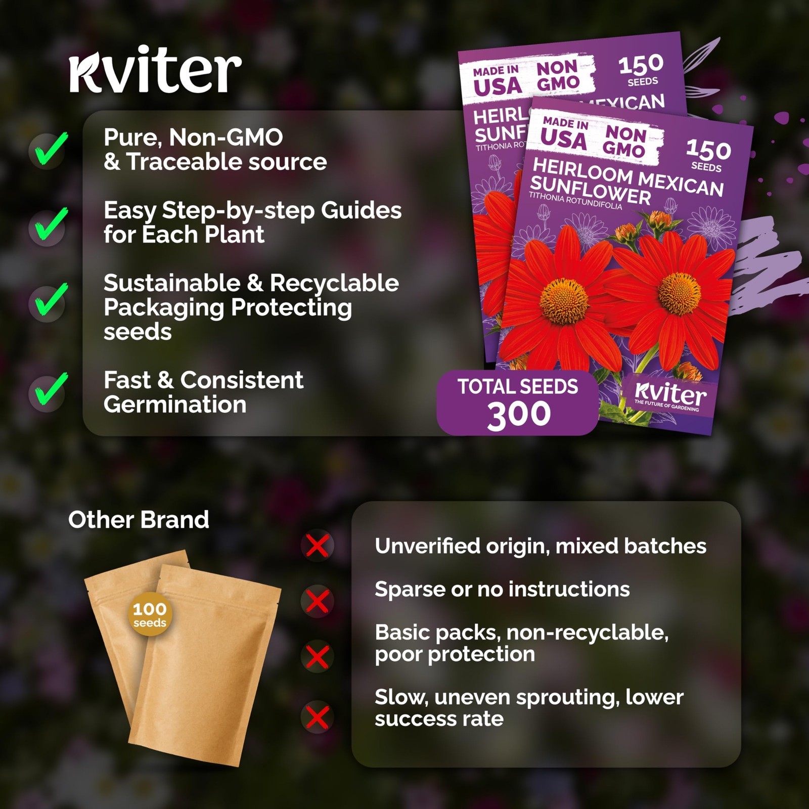 KVITER 300 Mexican Sunflower Seeds (Tithonia Rotundifolia), 2 Pack