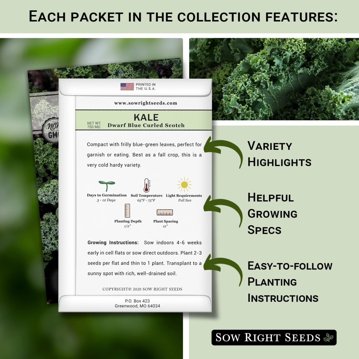 Sow Right Seeds – Kale Seed Collection for Planting – Non-GMO Heirloom Packet wi