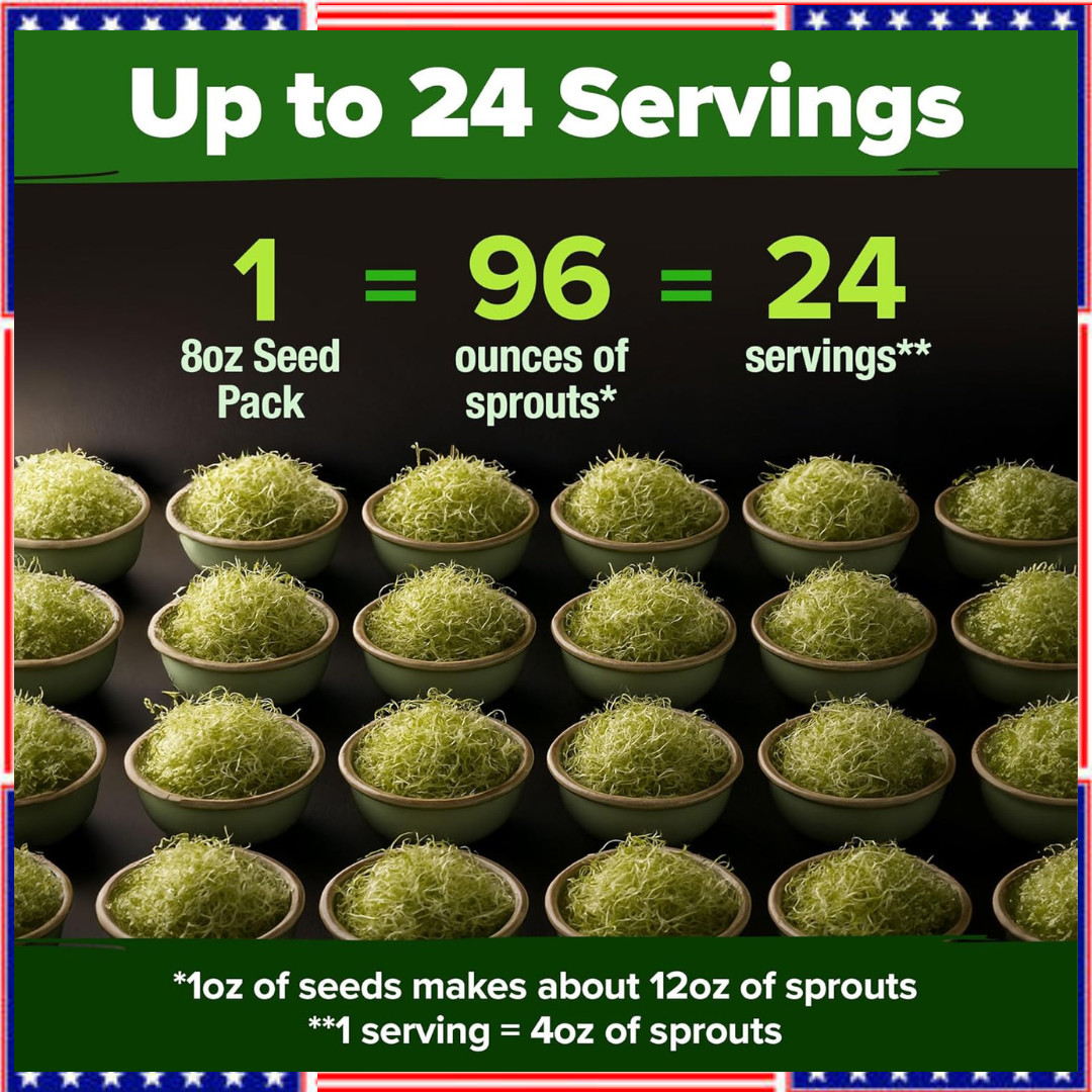 Alfalfa Sprouting & Microgreens Seeds – 99,700 Non-GMO Heirloom