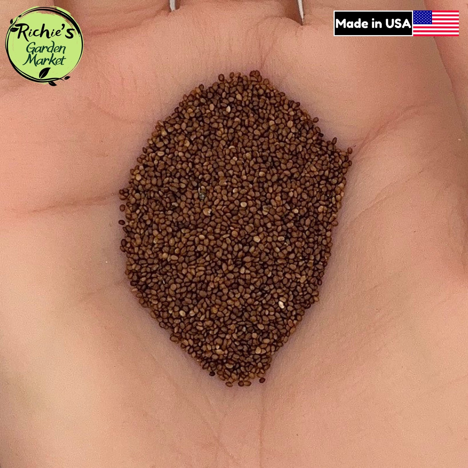 Marjoram Sweet Seeds, Culinary, Aromatic, Medicinal Herb, Non-GMO, Free Shipping