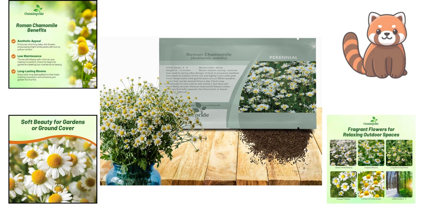 25000 Count Roman Chamomile Seeds – Perennial Herb for Beautiful Outdoor Spaces