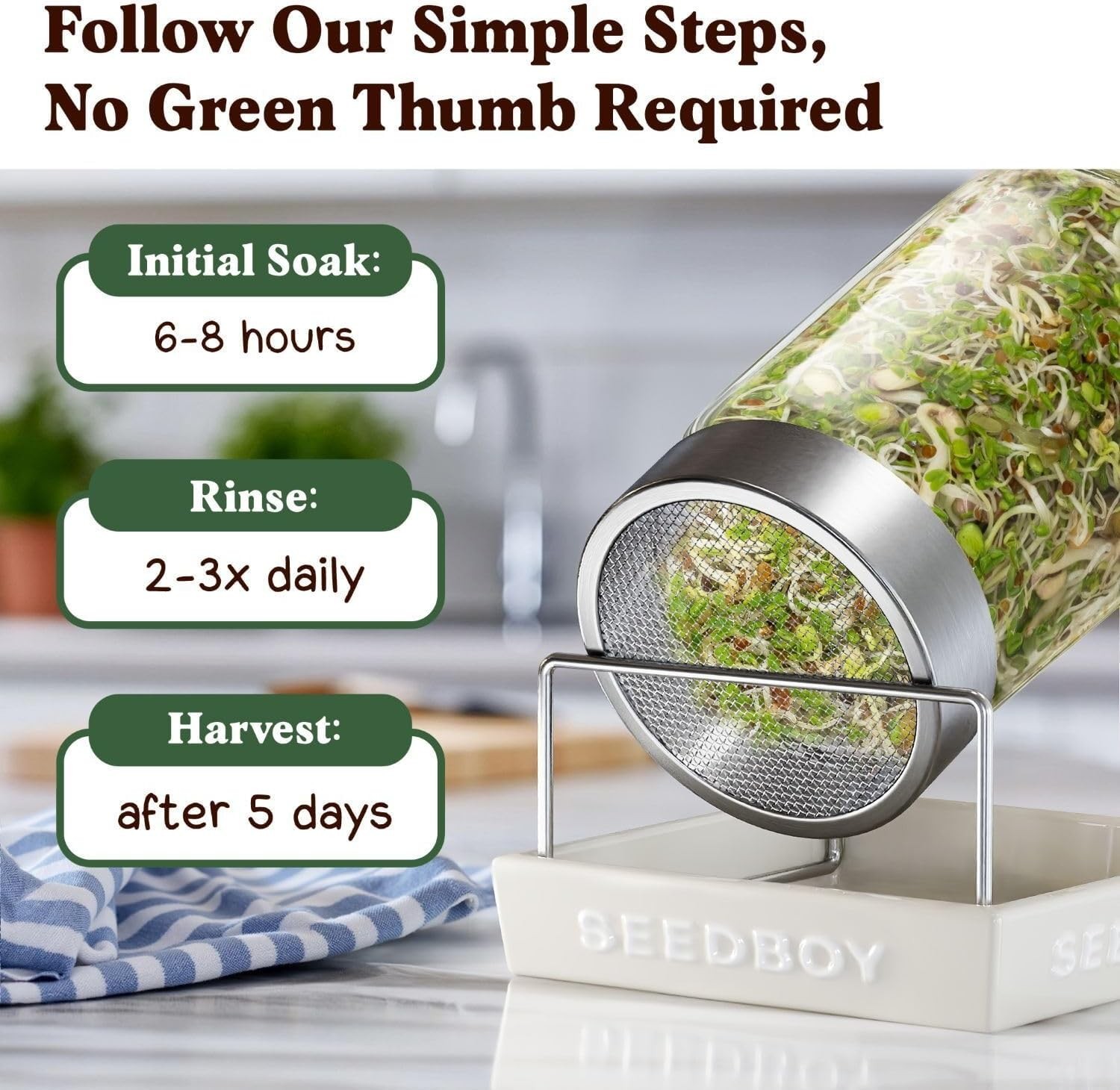 Organic Non-GMO Sprouting Seeds, Fresh Salad Blend – Grown Microgreens Mix w…