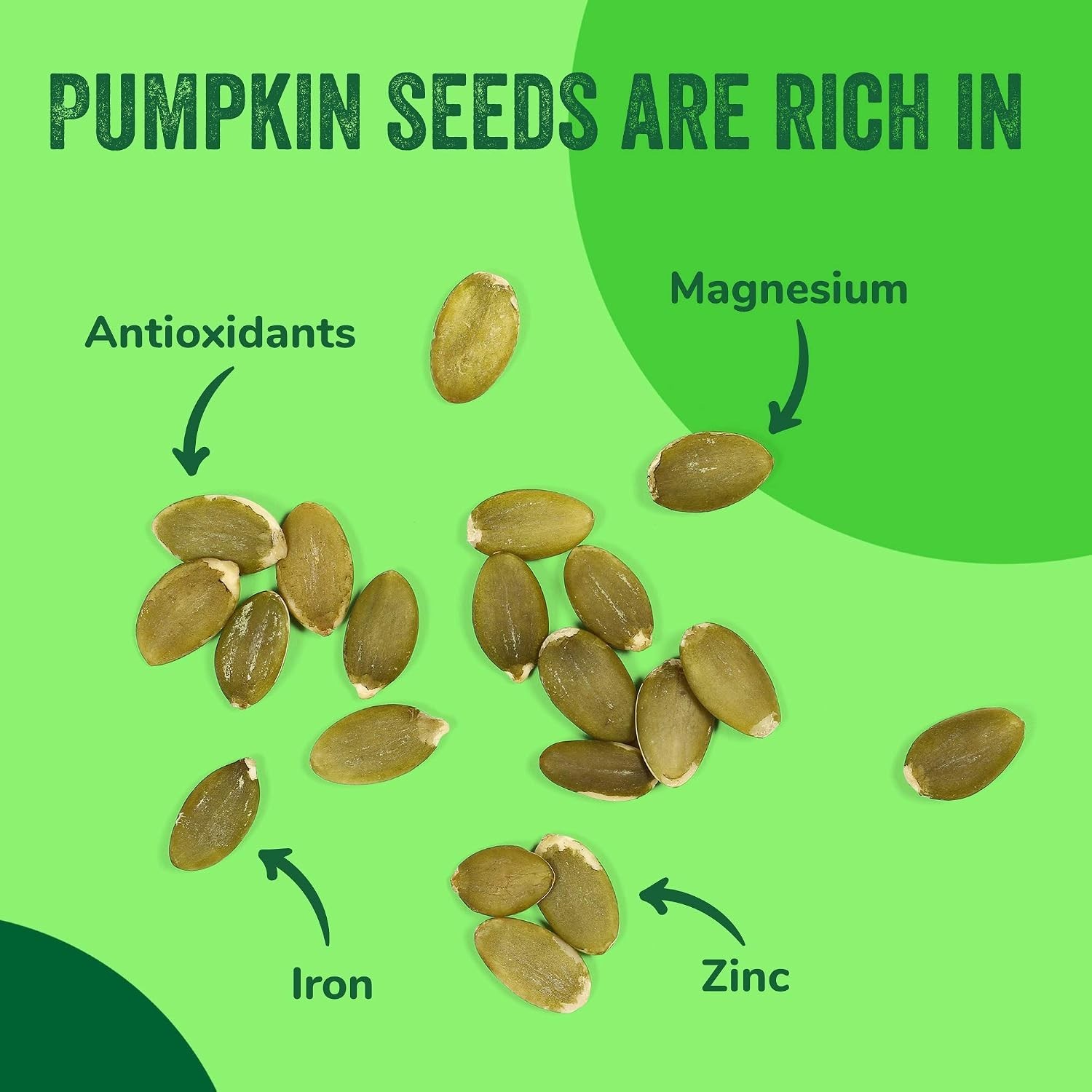 Oven Toasted Pumpkin Seeds 3 lb Batch
