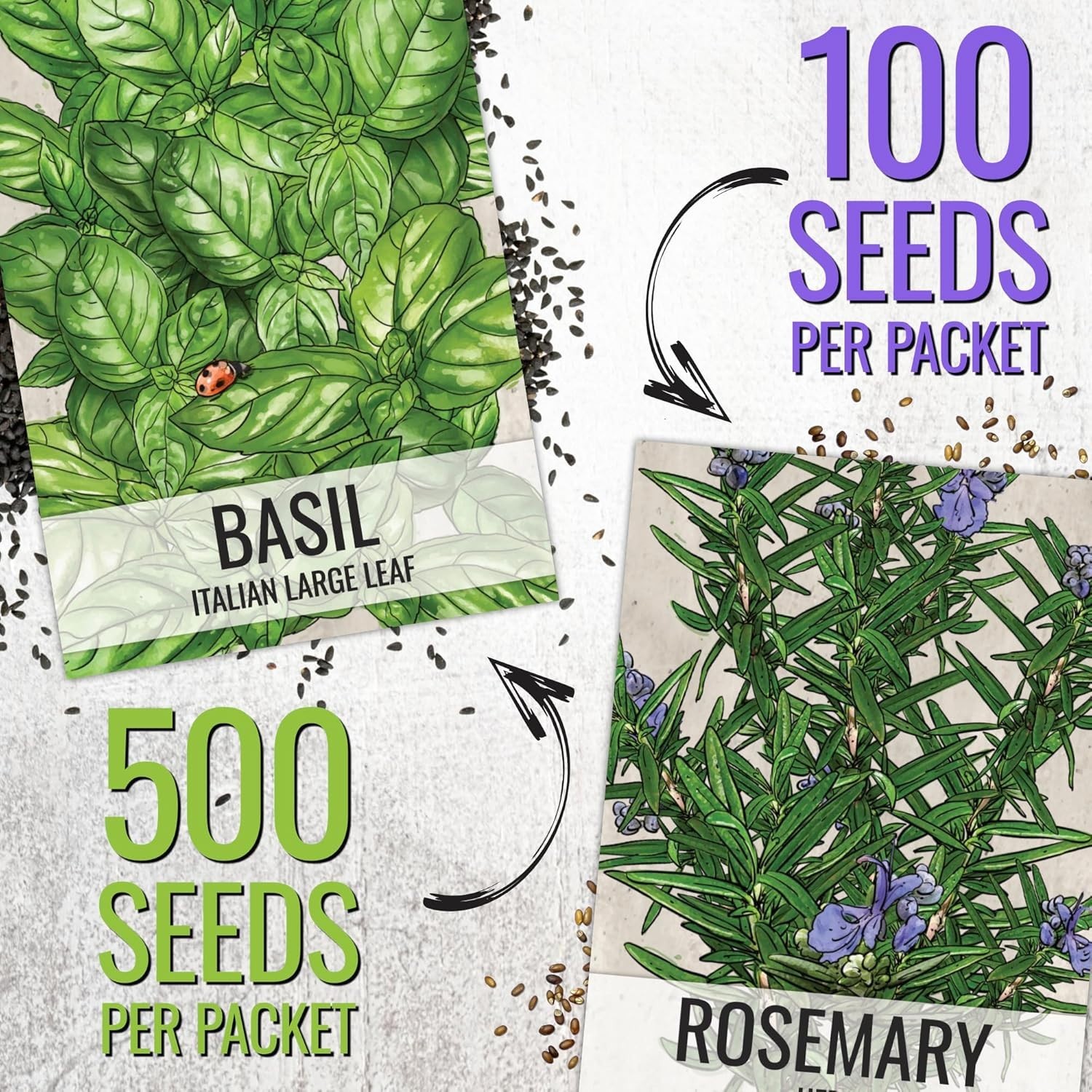 2 Pack of Heirloom Rosemary and Basil Seeds – Culinary and Medicinal Garden