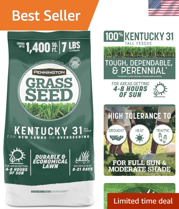 Kentucky 31 Fescue 7 LB Tall Fescue Grass Seed, Grass Seeds for Lawn