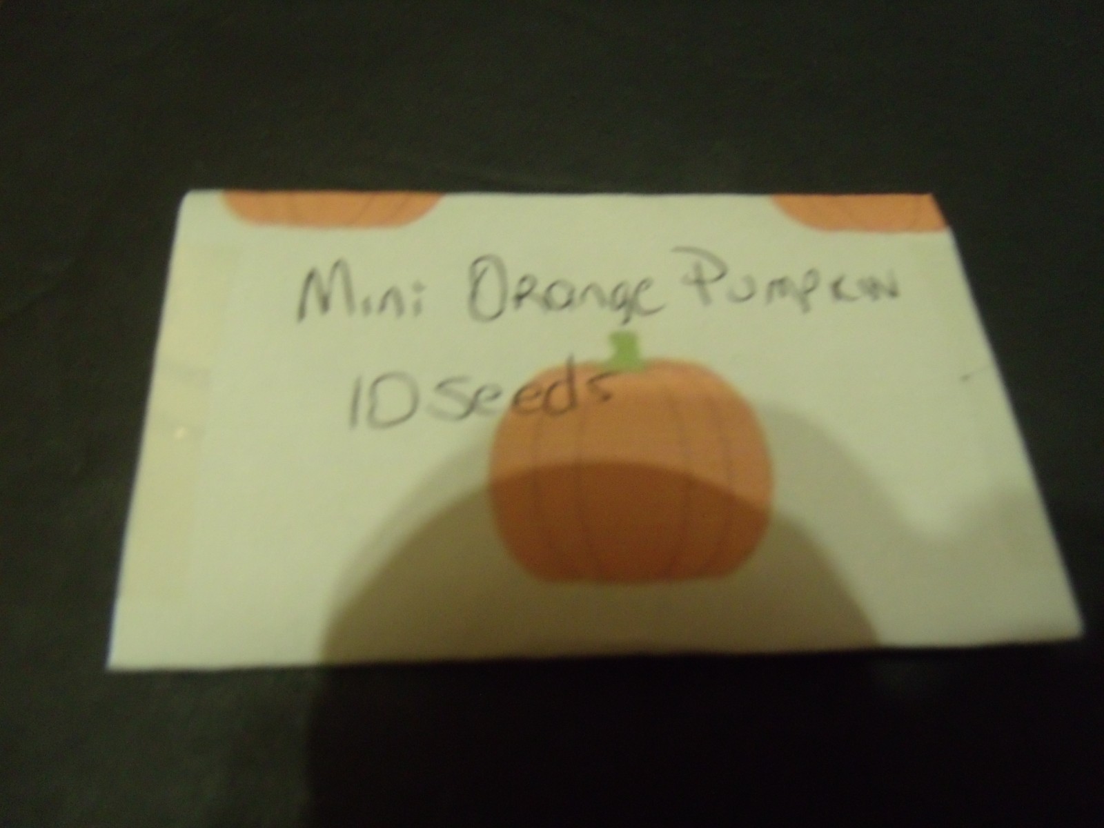 PUMPKIN SEEDS PACK OF 10, ORANGE or WHITE JACK O’LANTERNS, MINI or TALL SKINNY