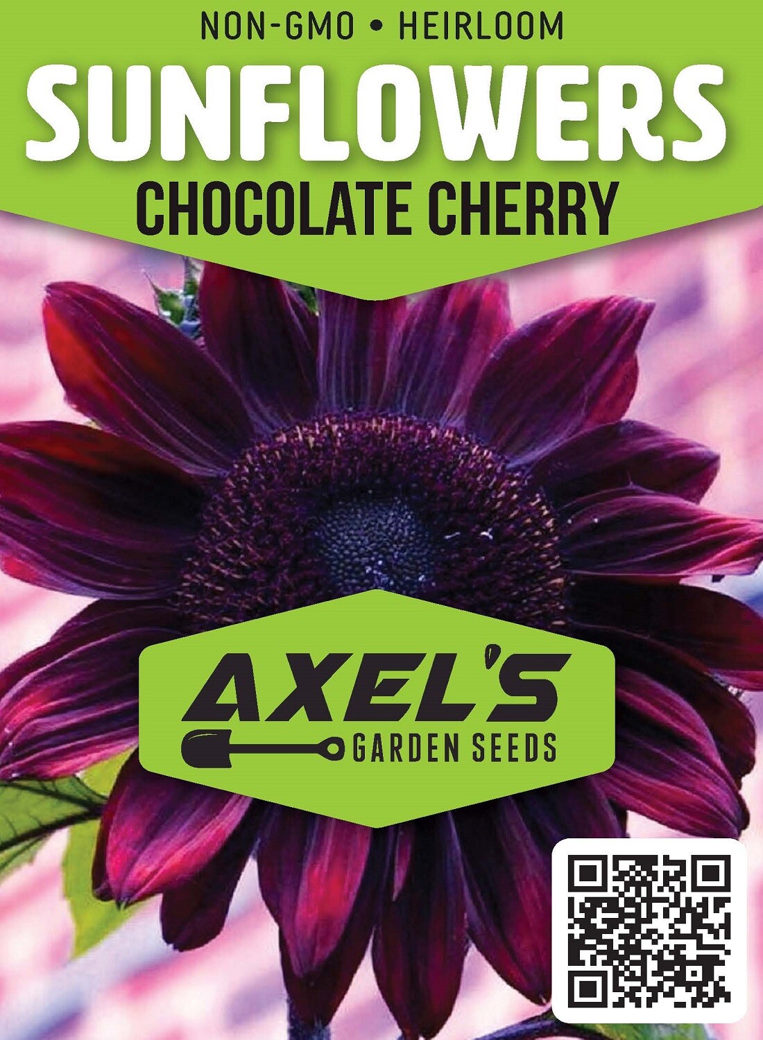 Bulk Sunflower Seeds for Planting – Heirloom NonGmo Flower Seeds for Home Garden