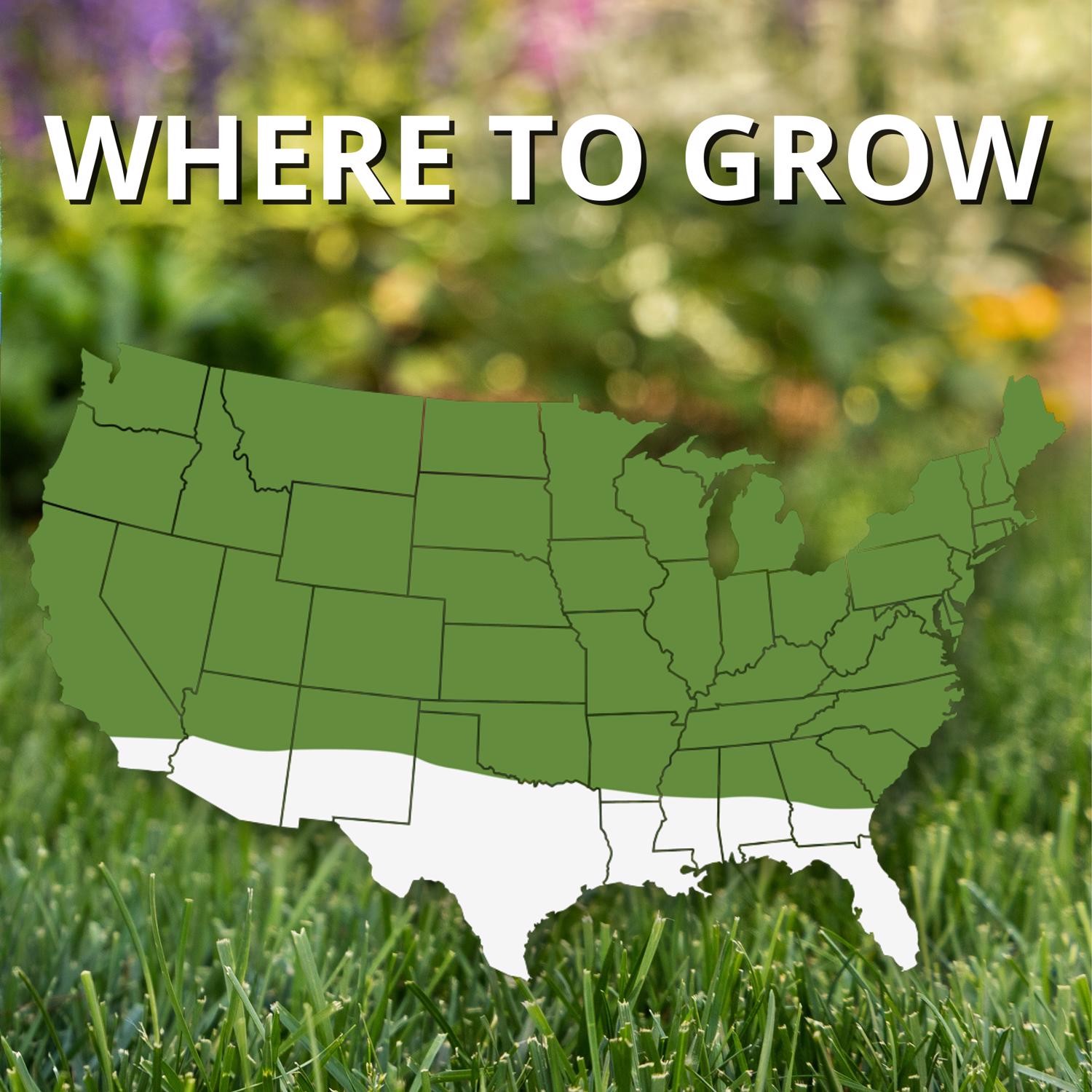 Jonathan Green Fast Grow Mixed Sun or Shade Grass Seed 25 lb