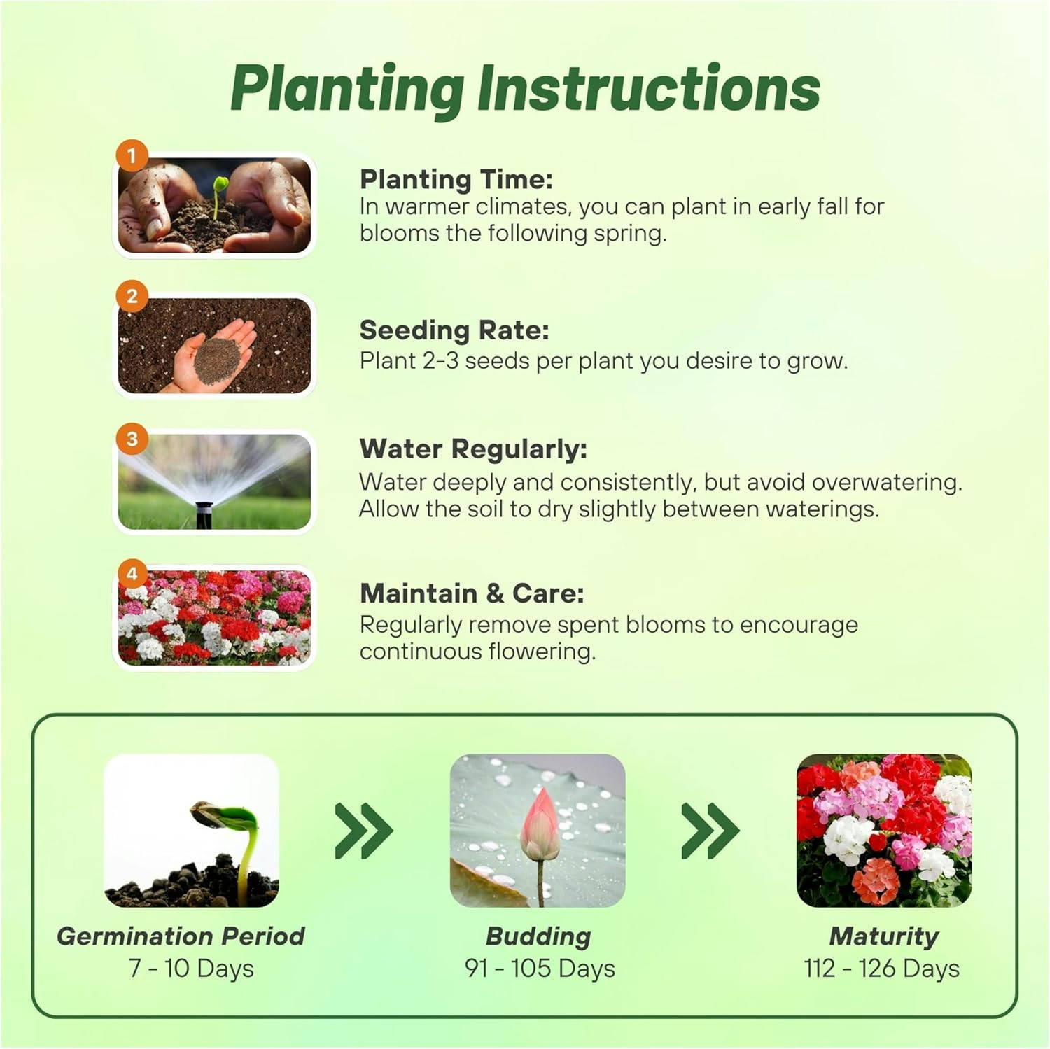 Mix Geranium Seeds for Planting – 100 Pcs Annual, Heat & Drought Tolerant Flower