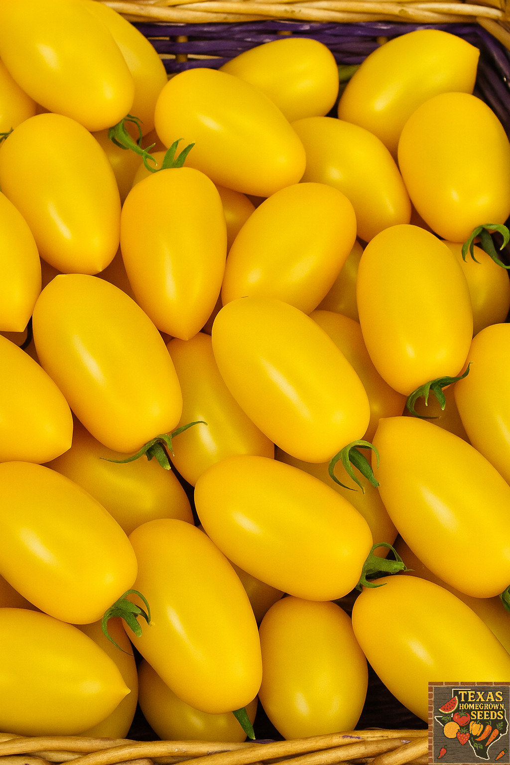 100 Heirloom Yellow Roma Tomato Seeds 4-6oz Golden Sweet LOW Acid Indeterminate