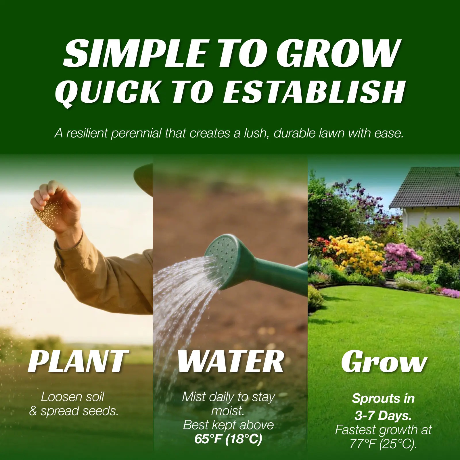 Grass Seed and Shade Grass, Grows Quickly and Withstands All Seasons, Perfect fo