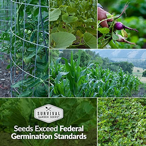 Home Garden Collection Vegetable & Herb Seed Vault – Non-GMO Home Garden 2
