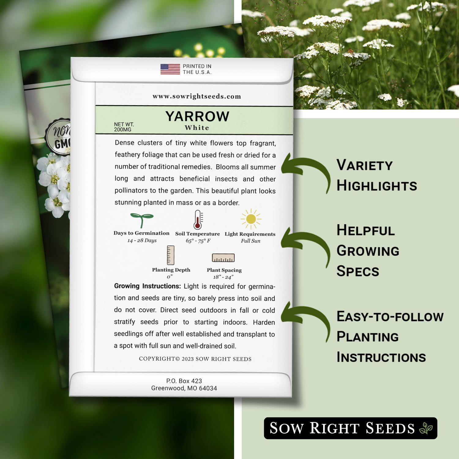 – Large Medicinal Herb Seed Collection for Planting – Chamomile, Echinacea, Lave