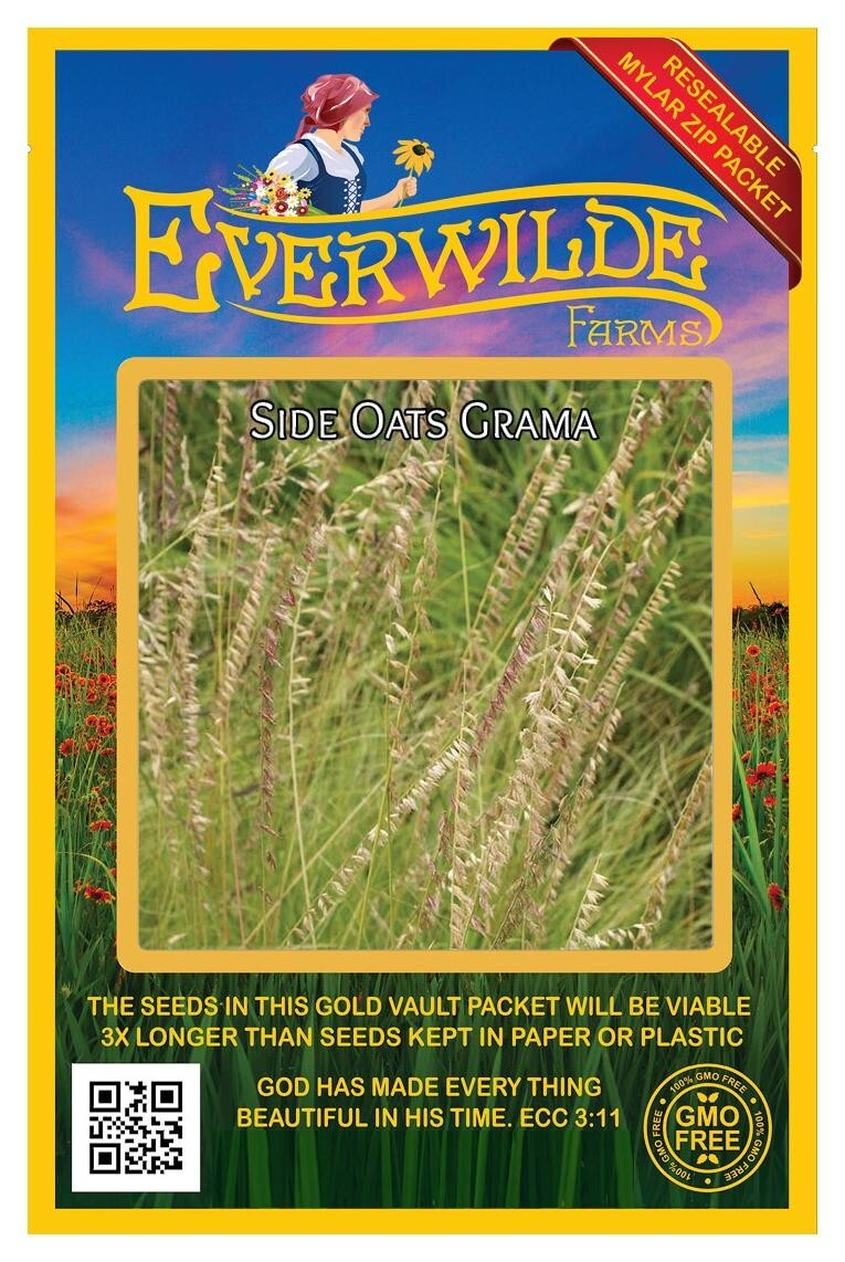 1000 Side Oats Grama Native Grass Seeds – Everwilde Farms Mylar Seed Packet