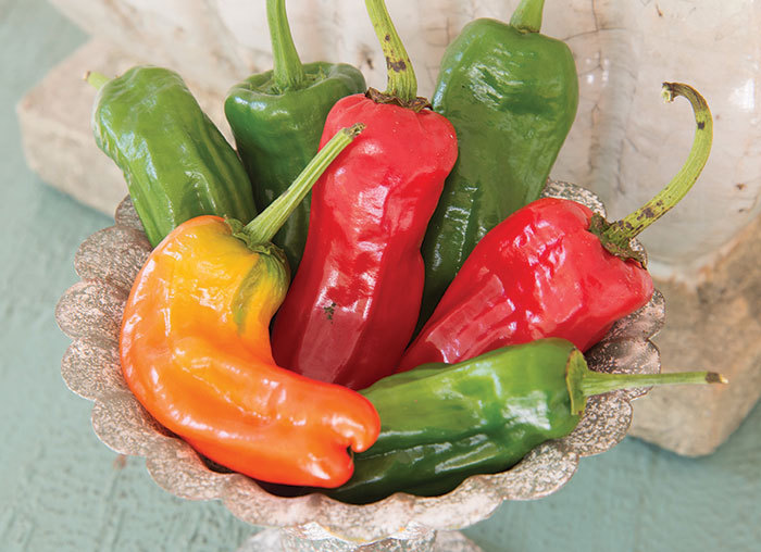 Cubanelle Sweet Pepper Seeds, NON-GMO, Variety Sizes, FREE SHIPPING