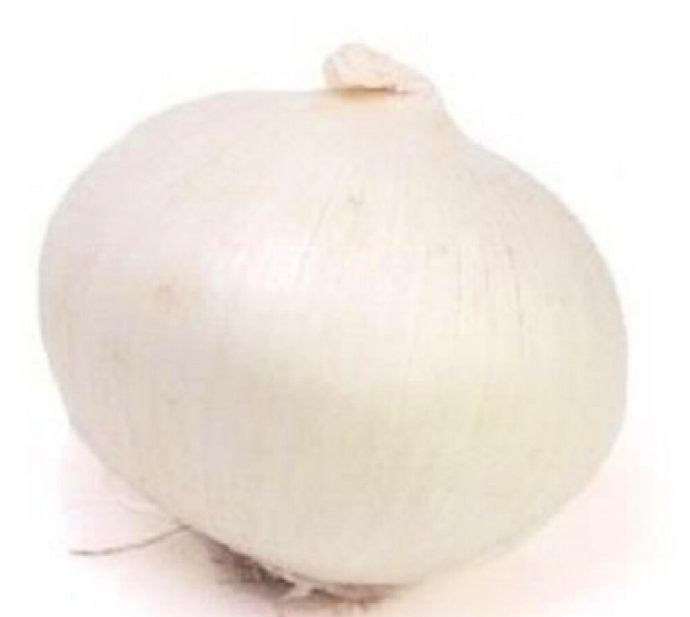 Eclipse L303 Onion Seeds | NON-GMO | Heirloom | Fresh Garden Seeds