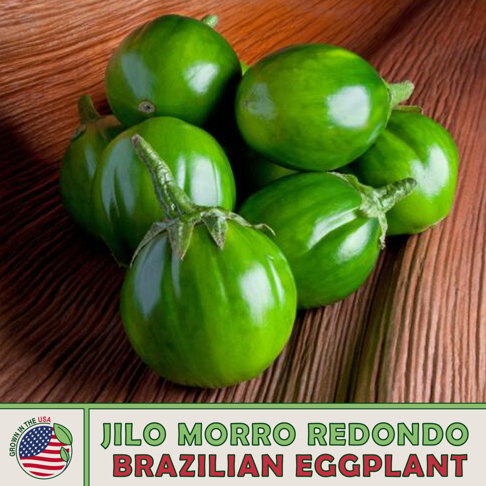 10 Rare Organic Brazilian Jilo Morro Redondo Eggplant Seeds Solanum aethiopicum