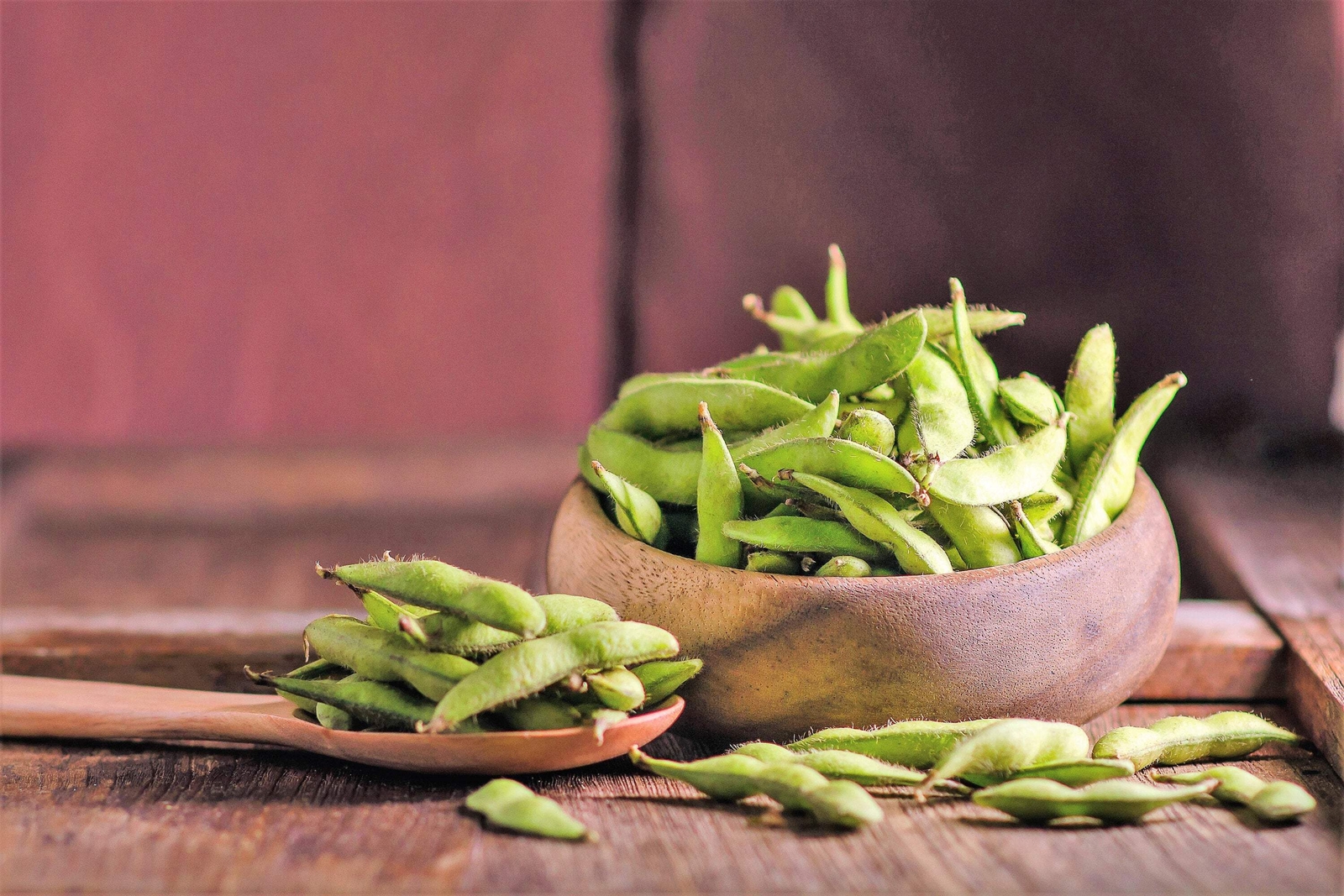 20 Organic MIDORI GIANT SOYBEAN Edamame Glycine Max Green Bean Vegetable Seeds