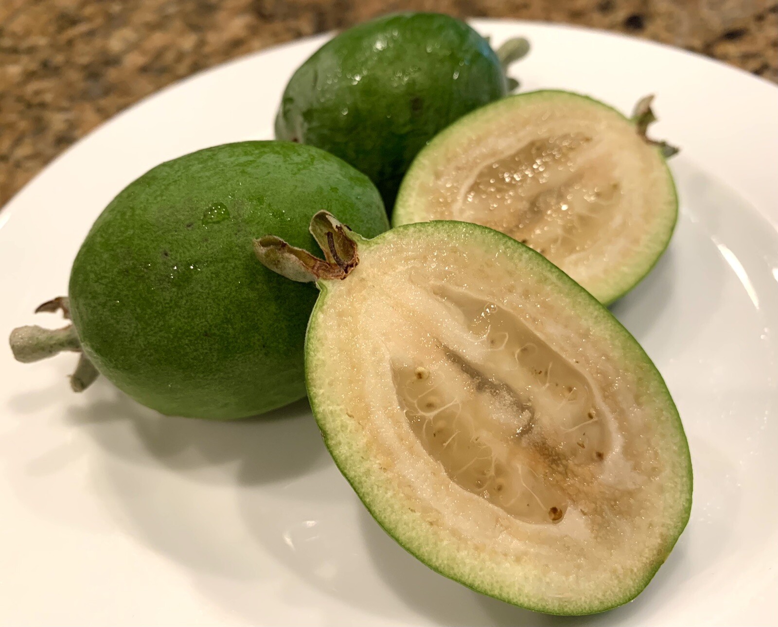 Feijoa Sellowiana, Pineapple Guava – 40 Seeds 2023 – USA