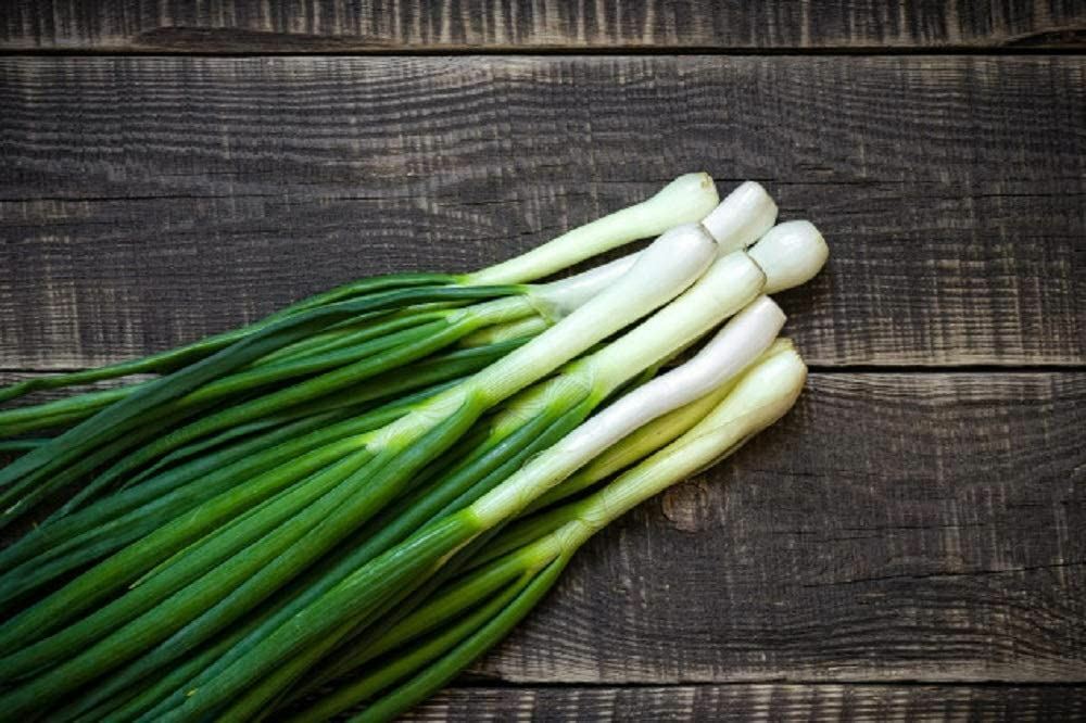 Onion Seeds, Tokyo Long White Bunching Onion Seeds, “COOL BEANS N SPROUTS” Brand