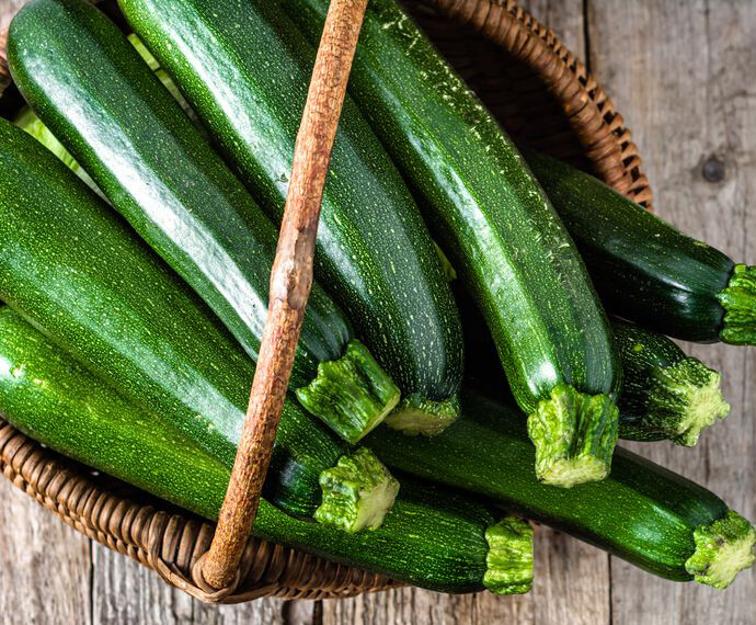 20+Dark Green Zucchini Squash Seeds Courgette Italian Zucchino Vegetable USA