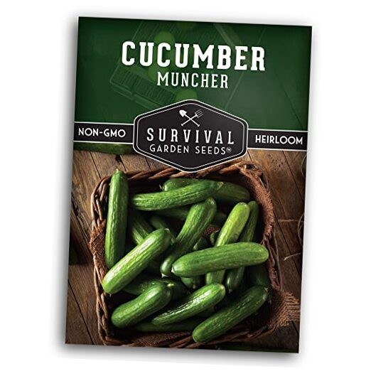 Muncher Cucumber Seeds for Planting | Burpless Variety with Smooth Skin for 1