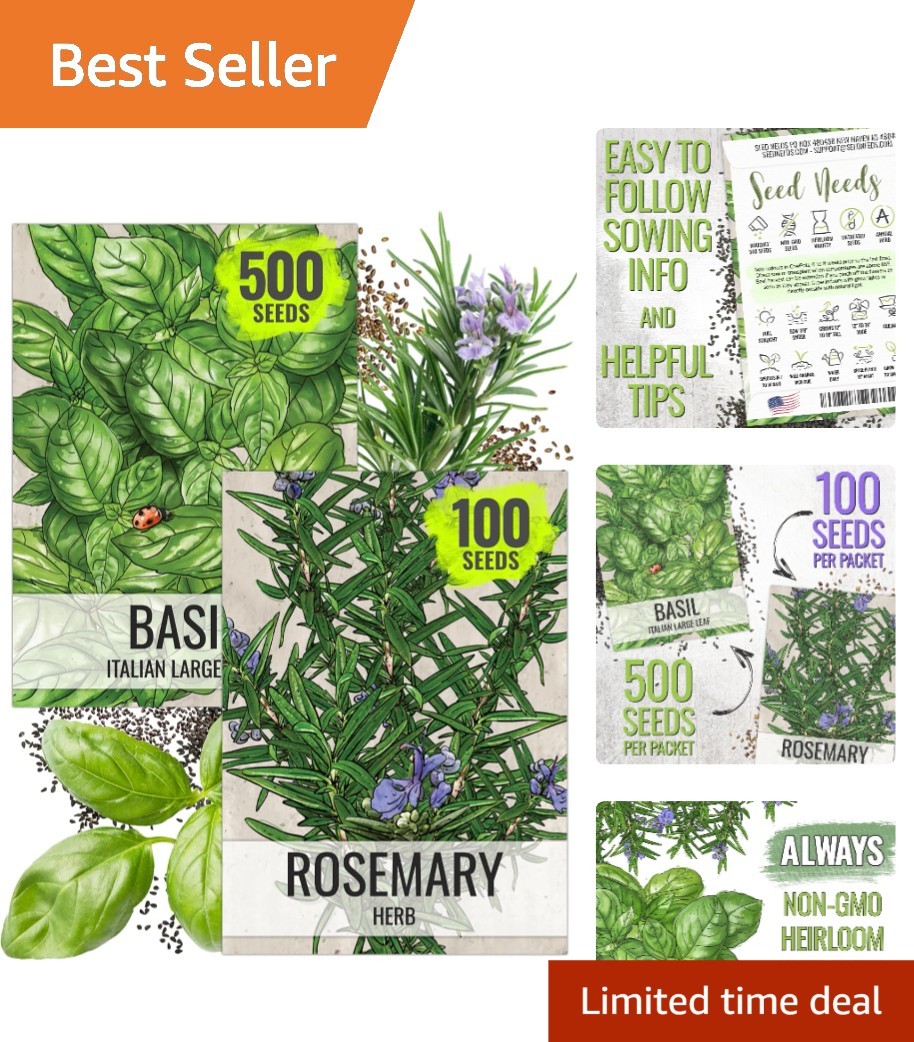 2 Pack of Heirloom Rosemary and Basil Seeds – Culinary and Medicinal Garden