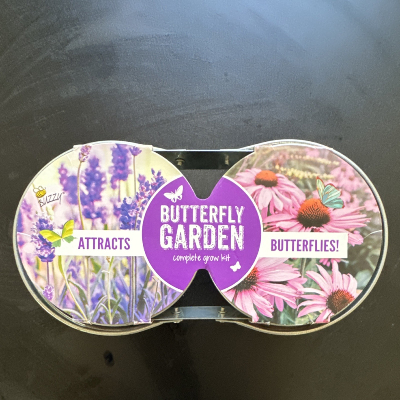 Buzzy Grow Kit Lavender & Coneflower Purple Pink Attracts Butterflies
