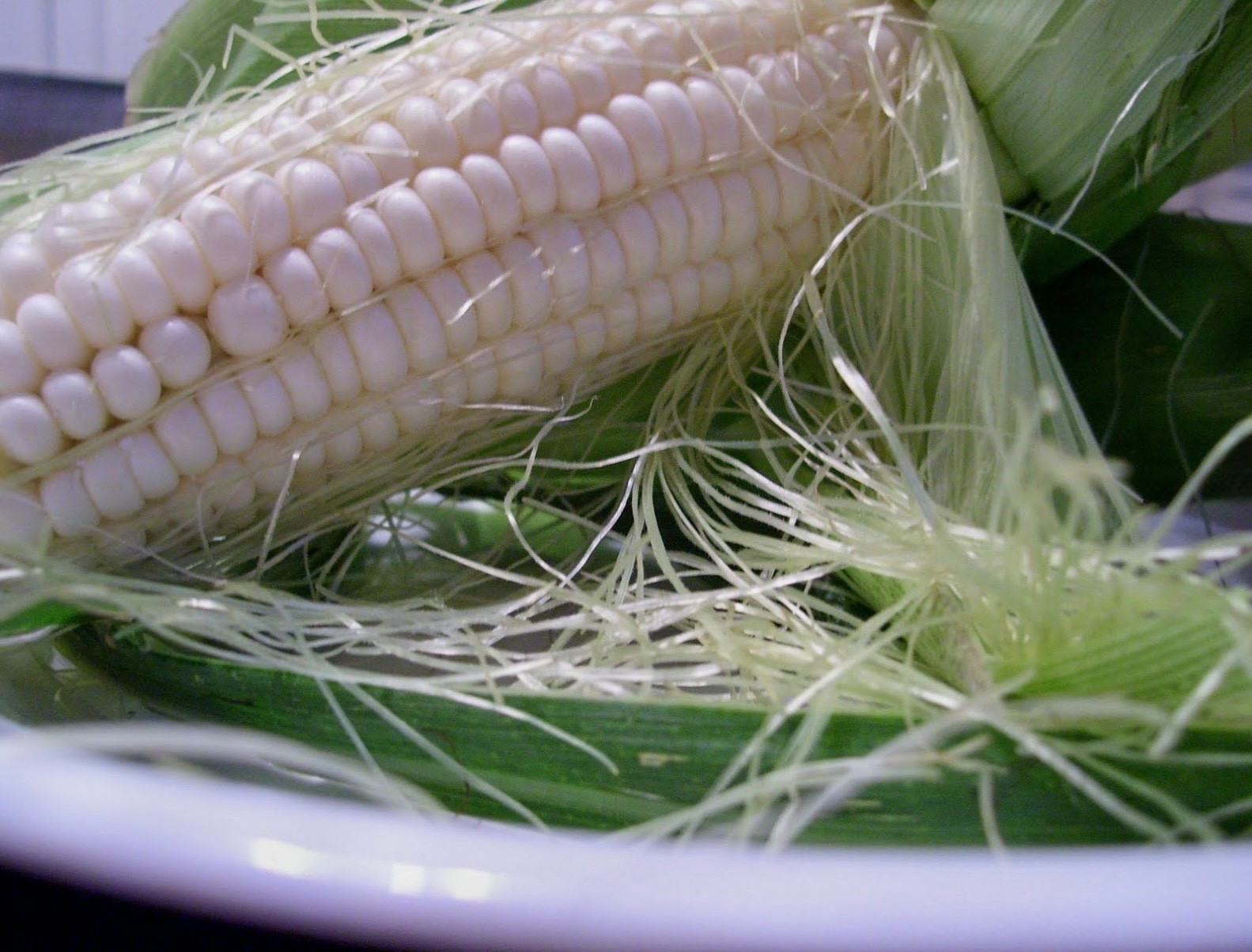 Silver Queen White Sweet Corn Seeds, F1 Hybrid Non-GMO Untreated, Fresh 2026 USA