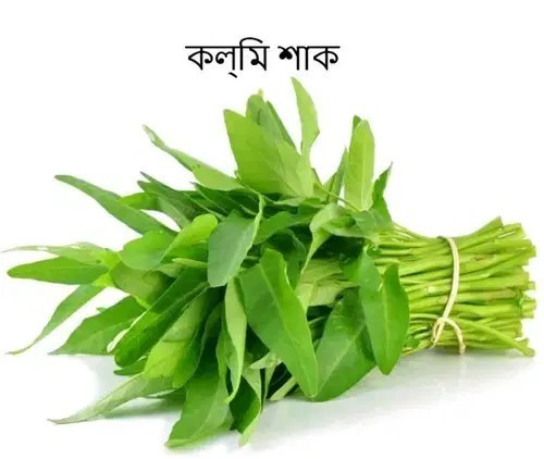 Kolmi Shak Seeds ( 20 Grams ) Water Spinach seeds, Indian Water Spinach